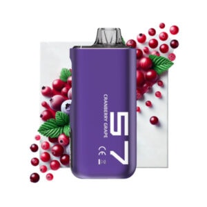 Insta Bar Cranberry Grape 40K Puffs Disposable